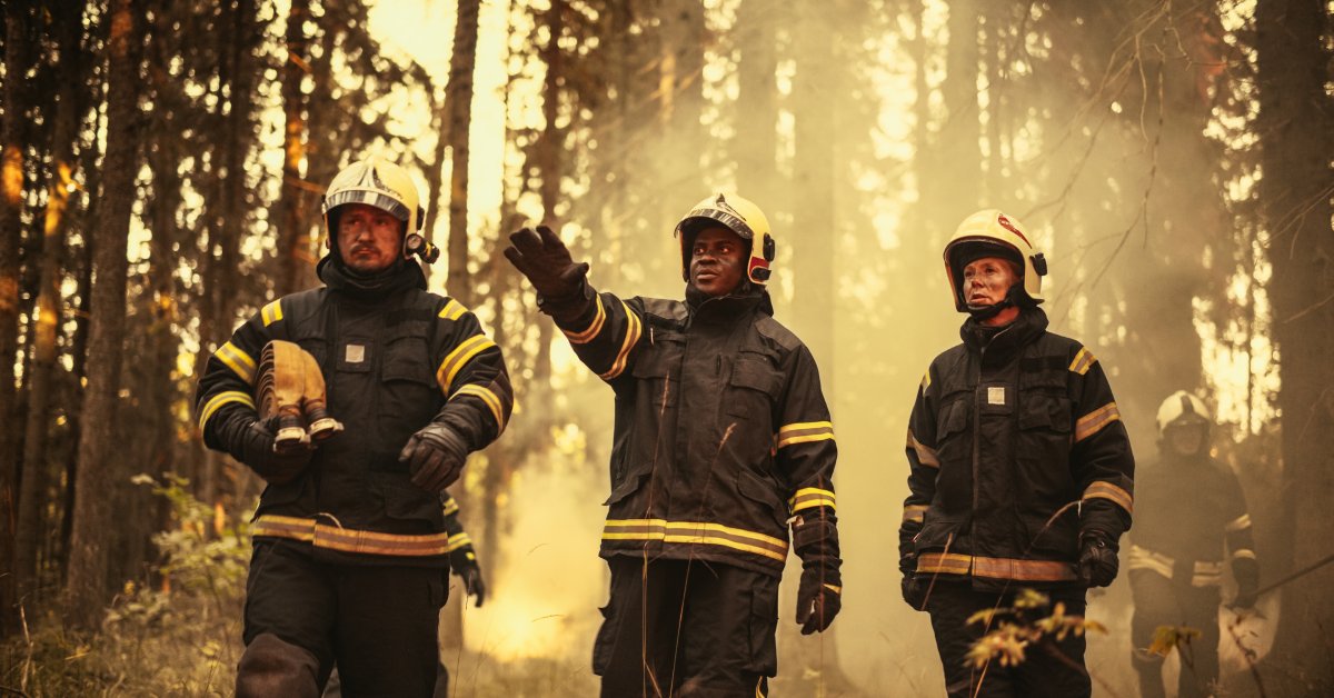 A group of three firefighters walk side-by-side through a smoke-filled forest. They're wearing protective gear.